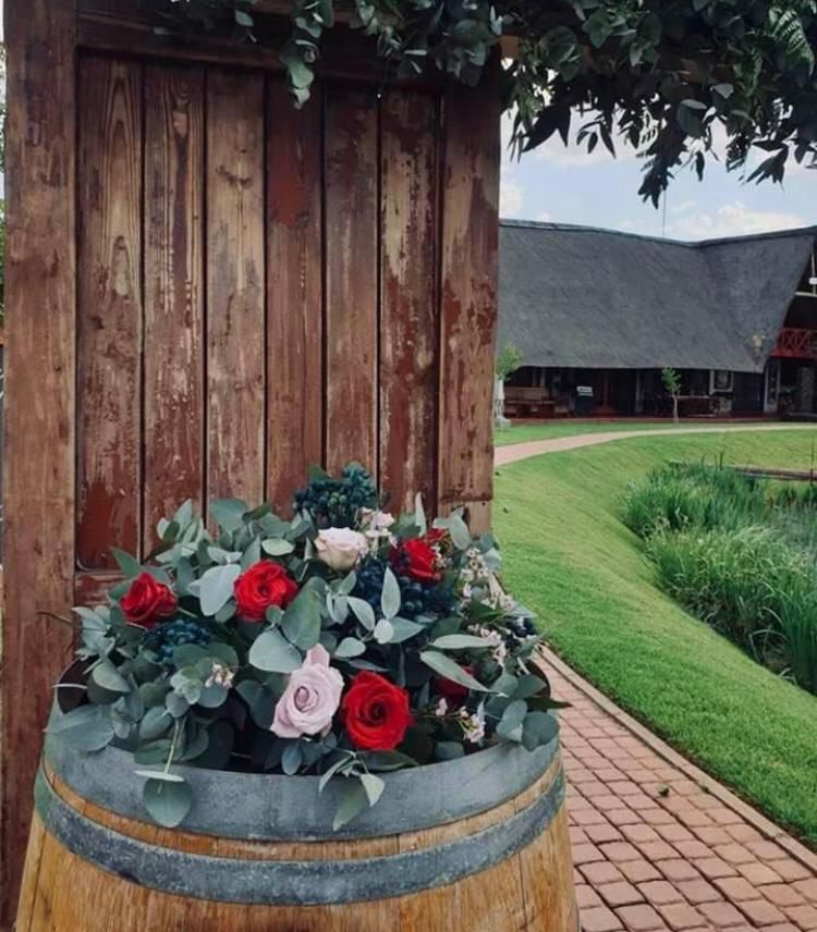 4 Bedroom Property for Sale in Modimolle Limpopo