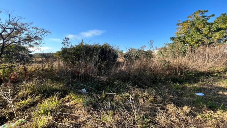 Commercial Property for Sale in Bendor Limpopo