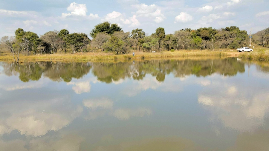 13 Bedroom Property for Sale in Modimolle Rural Limpopo