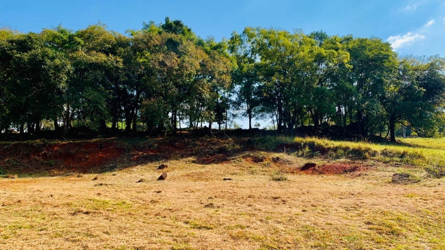 Commercial Property for Sale in Doornhoek Equestrian Estate Limpopo