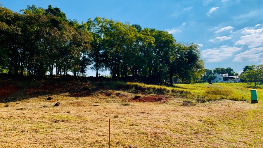 Commercial Property for Sale in Doornhoek Equestrian Estate Limpopo