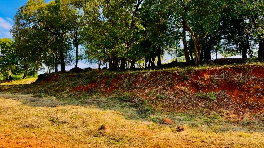 Commercial Property for Sale in Doornhoek Equestrian Estate Limpopo