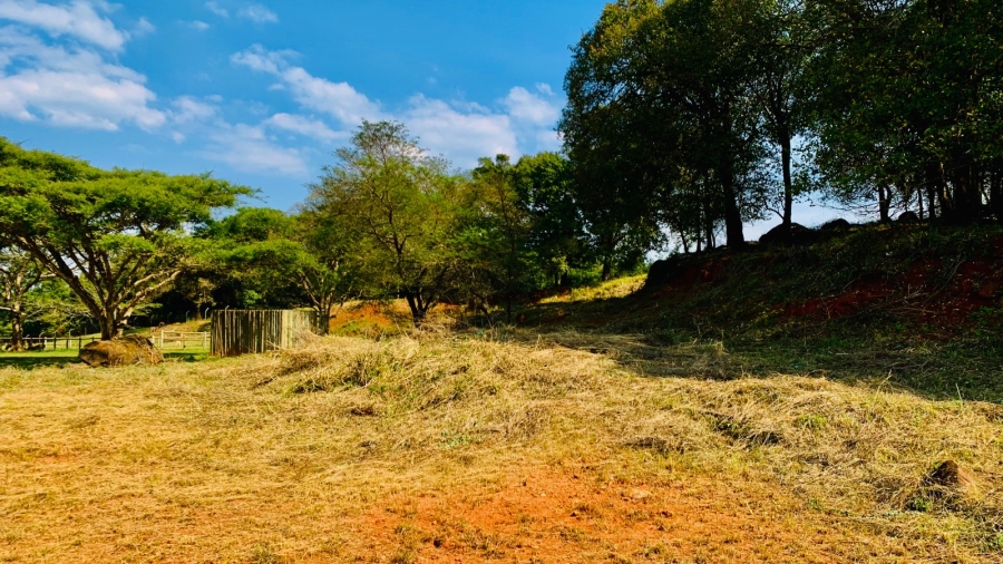 Commercial Property for Sale in Doornhoek Equestrian Estate Limpopo