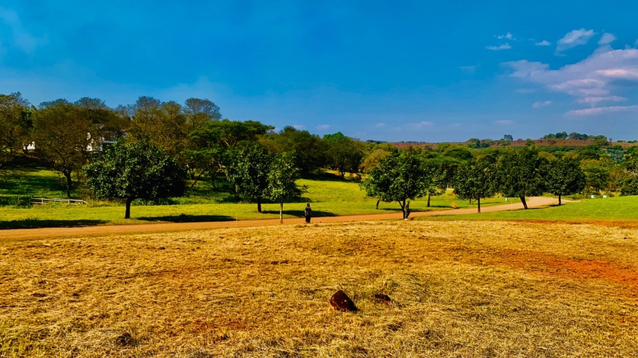 Commercial Property for Sale in Doornhoek Equestrian Estate Limpopo