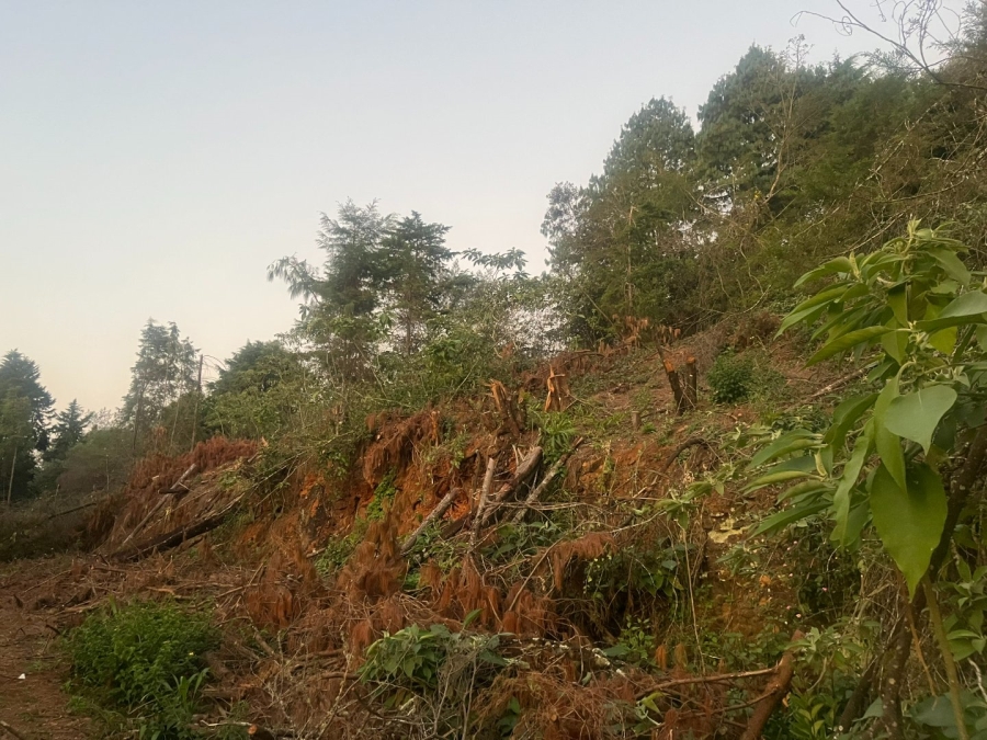Commercial Property for Sale in Haenertsburg Limpopo