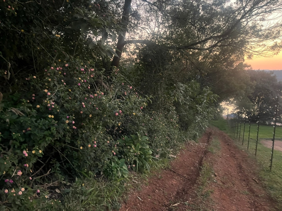 Commercial Property for Sale in Haenertsburg Limpopo