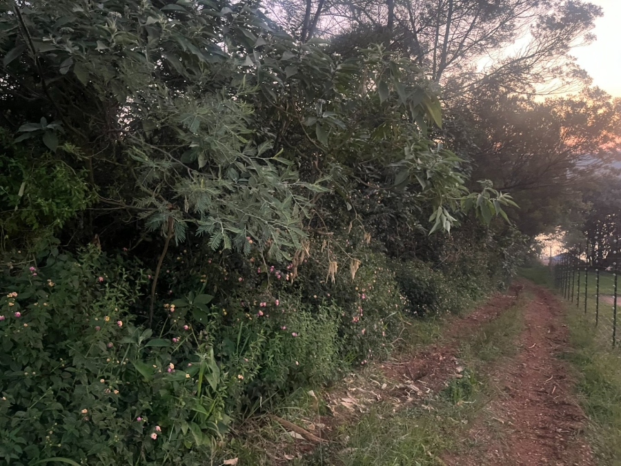 Commercial Property for Sale in Haenertsburg Limpopo