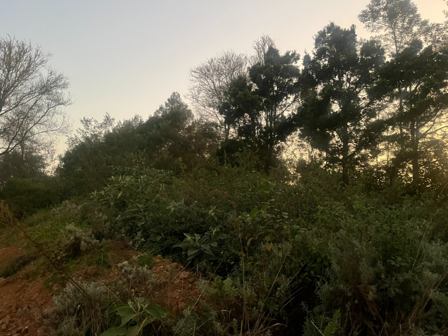 Commercial Property for Sale in Haenertsburg Limpopo