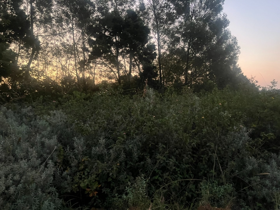 Commercial Property for Sale in Haenertsburg Limpopo