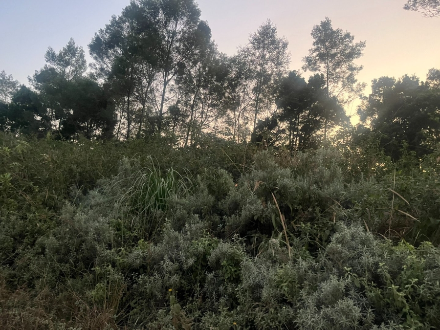 Commercial Property for Sale in Haenertsburg Limpopo