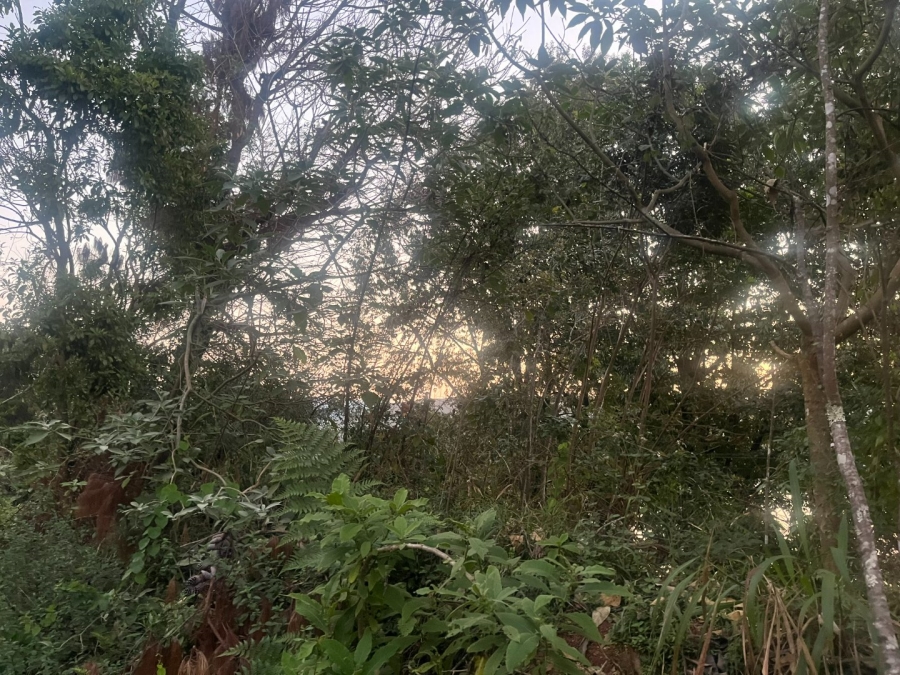 Commercial Property for Sale in Haenertsburg Limpopo