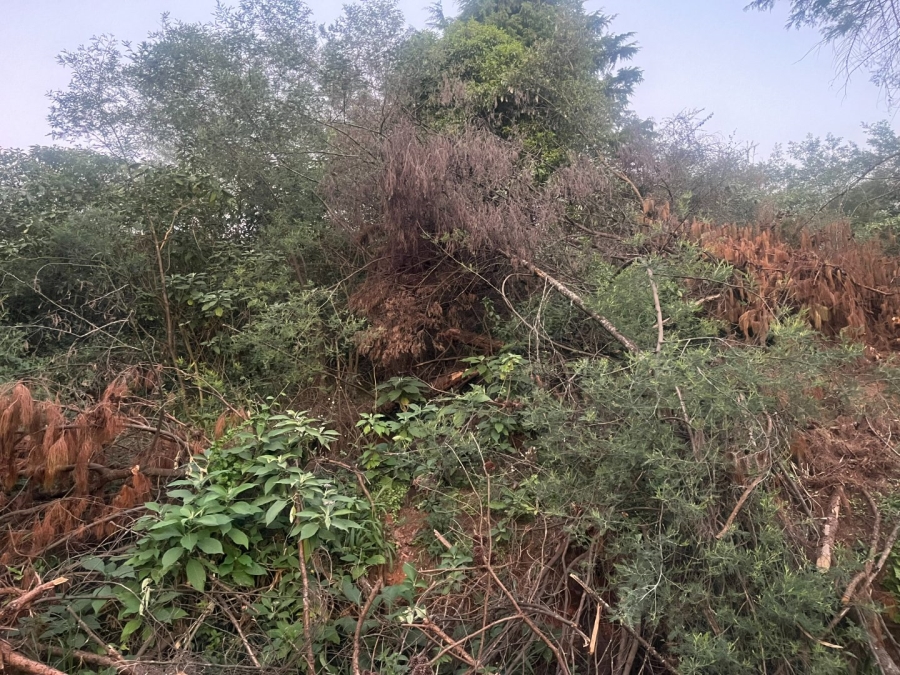 Commercial Property for Sale in Haenertsburg Limpopo