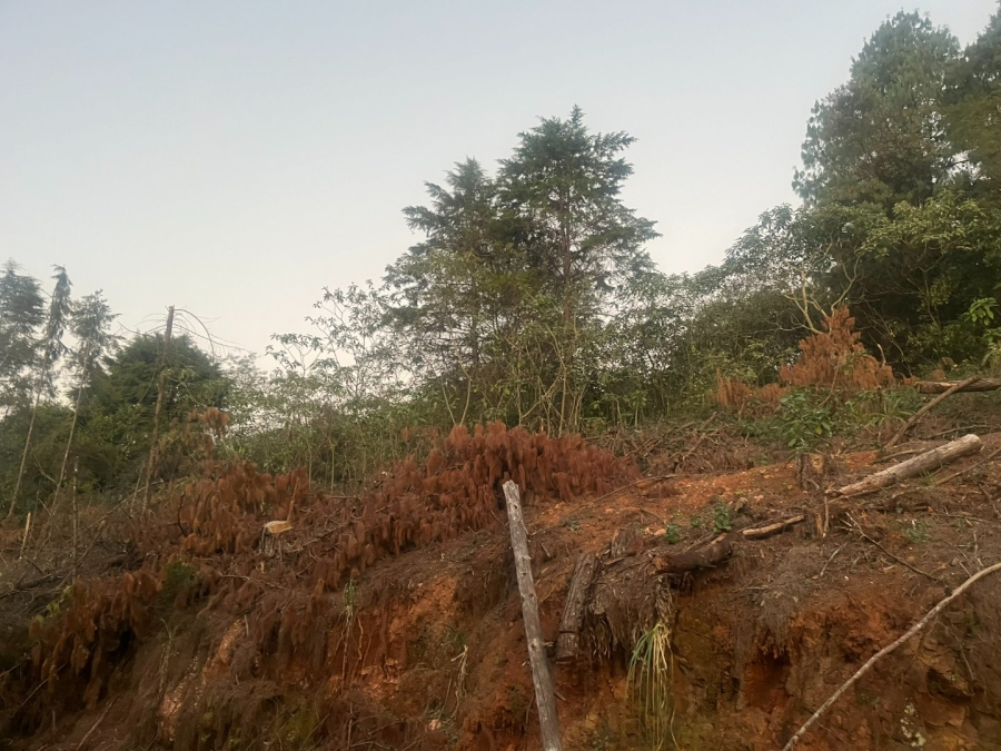 Commercial Property for Sale in Haenertsburg Limpopo