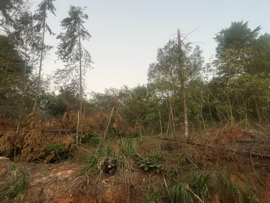 Commercial Property for Sale in Haenertsburg Limpopo