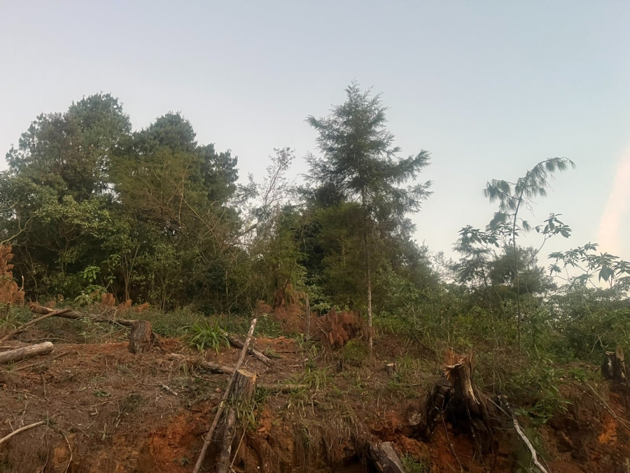 Commercial Property for Sale in Haenertsburg Limpopo