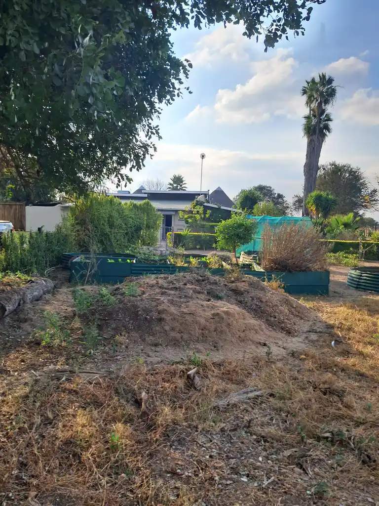 Commercial Property for Sale in Palm A H Limpopo