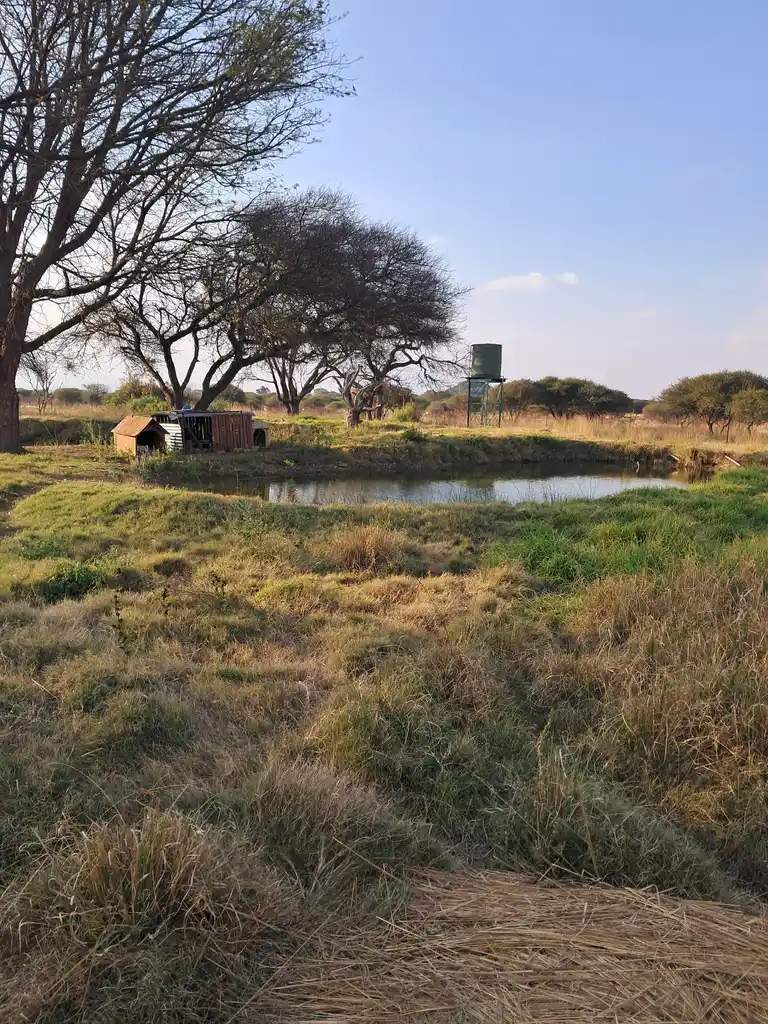 Commercial Property for Sale in Palm A H Limpopo