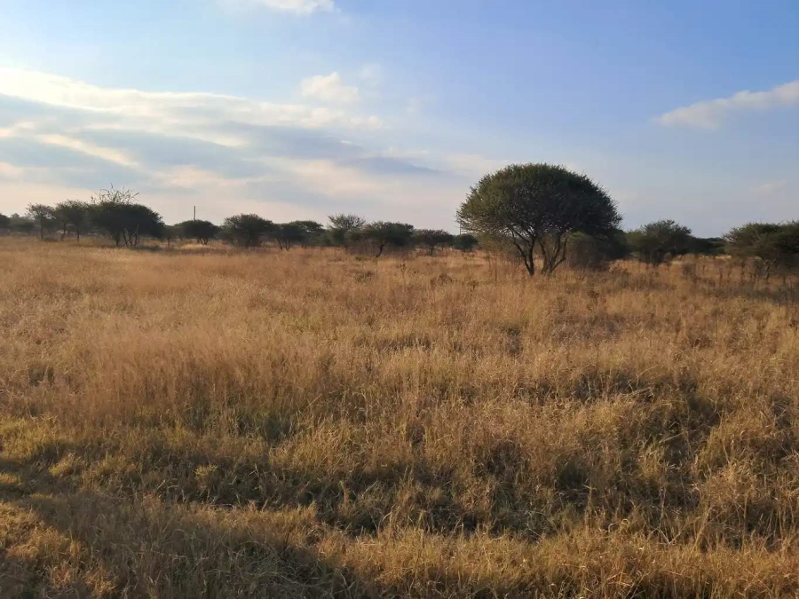 Commercial Property for Sale in Palm A H Limpopo