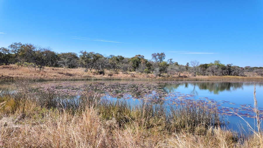 Commercial Property for Sale in Modimolle Rural Limpopo