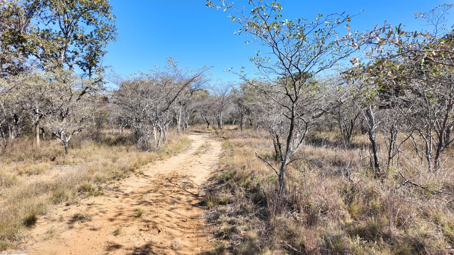 Commercial Property for Sale in Modimolle Rural Limpopo