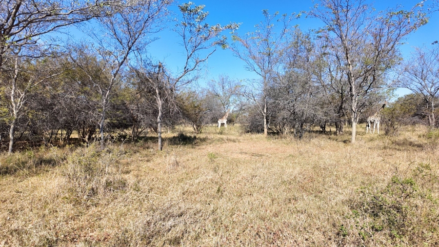 Commercial Property for Sale in Modimolle Rural Limpopo