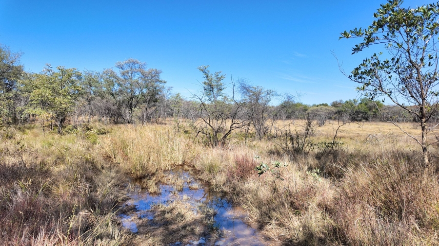Commercial Property for Sale in Modimolle Rural Limpopo