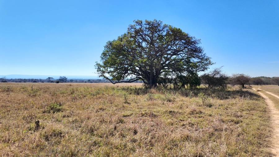 Commercial Property for Sale in Modimolle Rural Limpopo