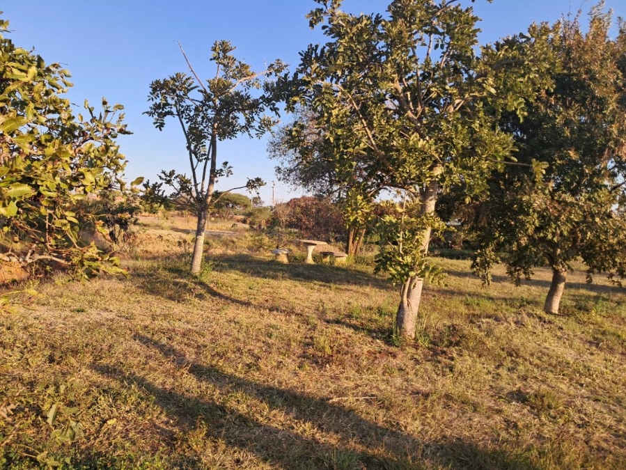 Commercial Property for Sale in Myngenoegen A H Limpopo