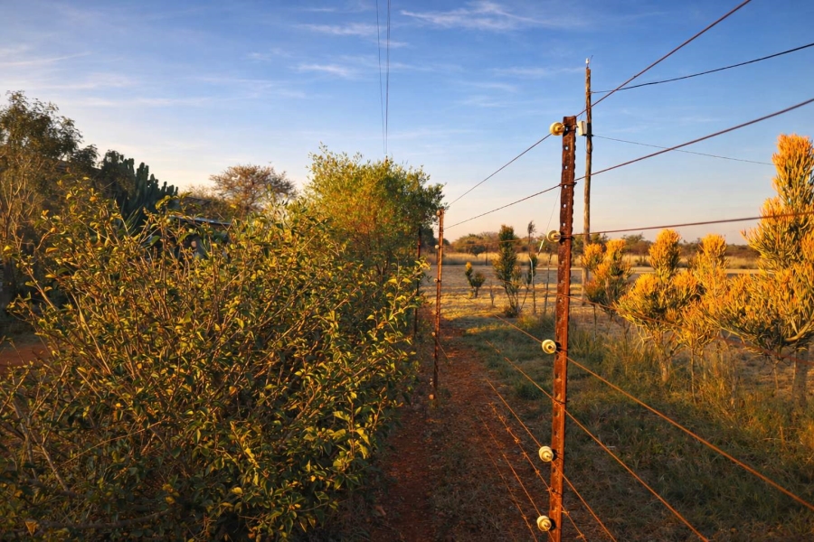Commercial Property for Sale in Myngenoegen A H Limpopo