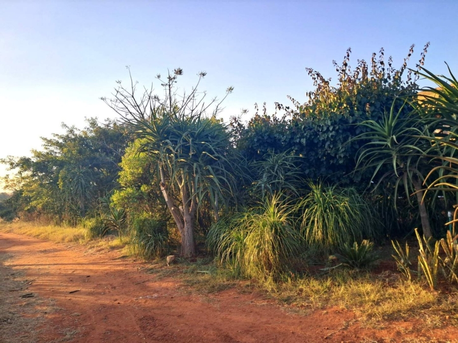 Commercial Property for Sale in Myngenoegen A H Limpopo