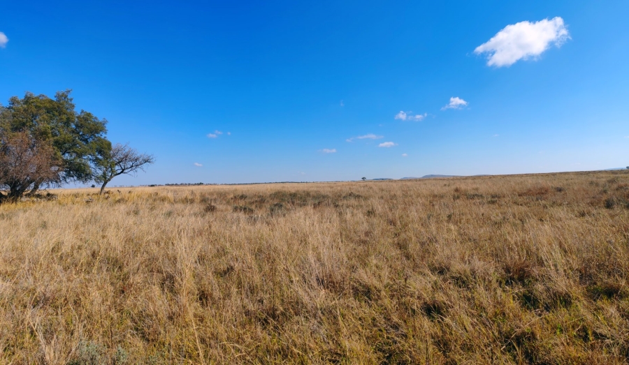 Commercial Property for Sale in Mookgopong Limpopo