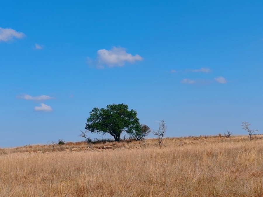 Commercial Property for Sale in Mookgopong Limpopo