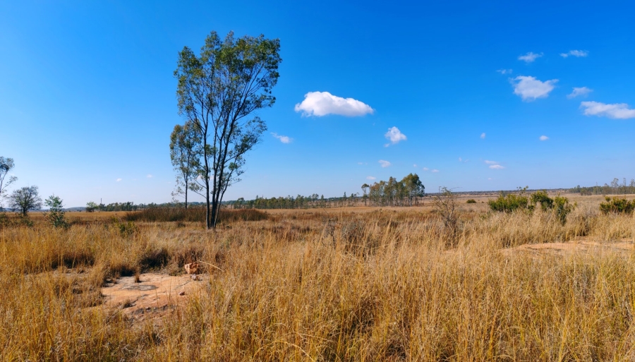 Commercial Property for Sale in Mookgopong Limpopo