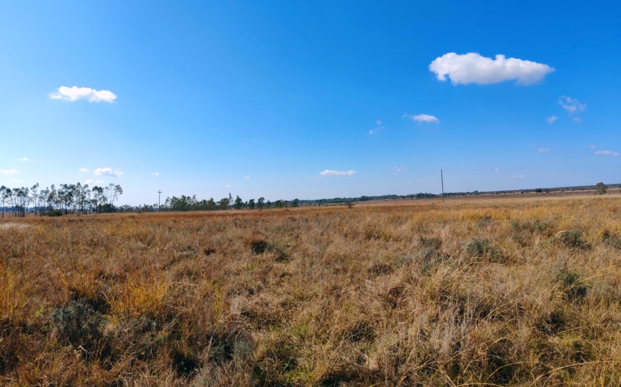 Commercial Property for Sale in Mookgopong Limpopo