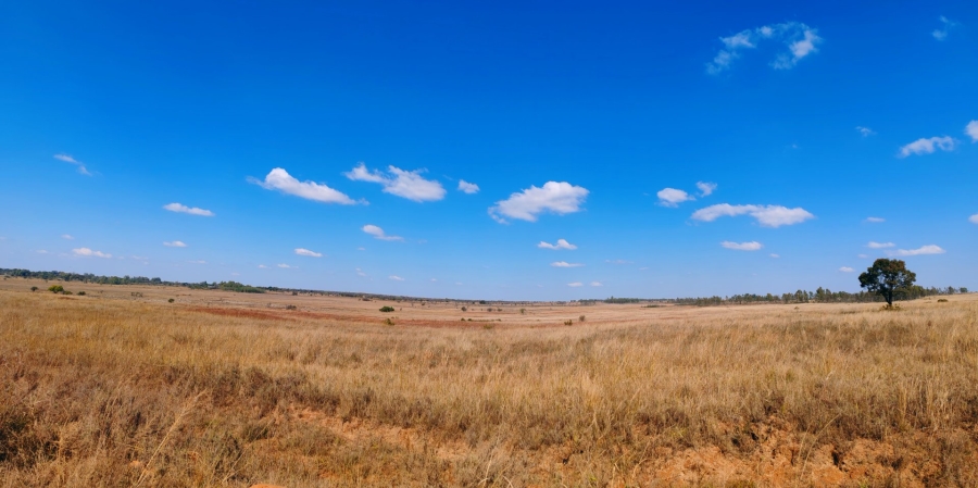 Commercial Property for Sale in Mookgopong Limpopo