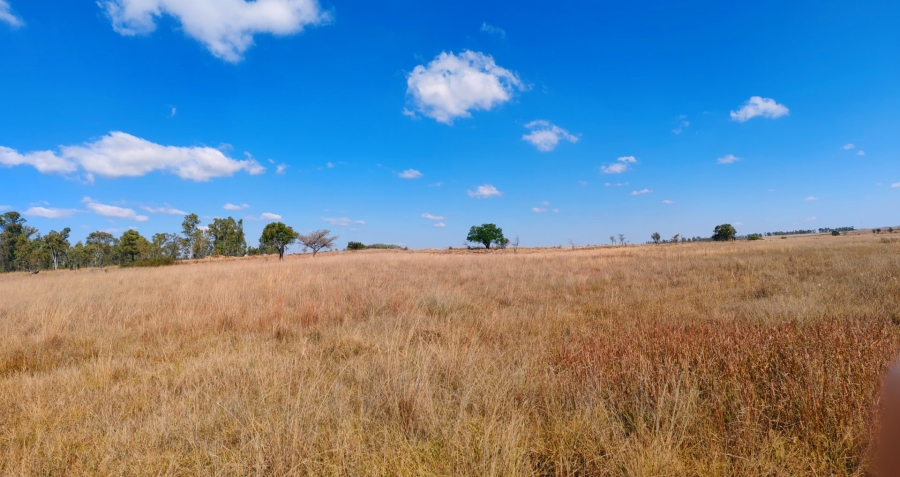 Commercial Property for Sale in Mookgopong Limpopo