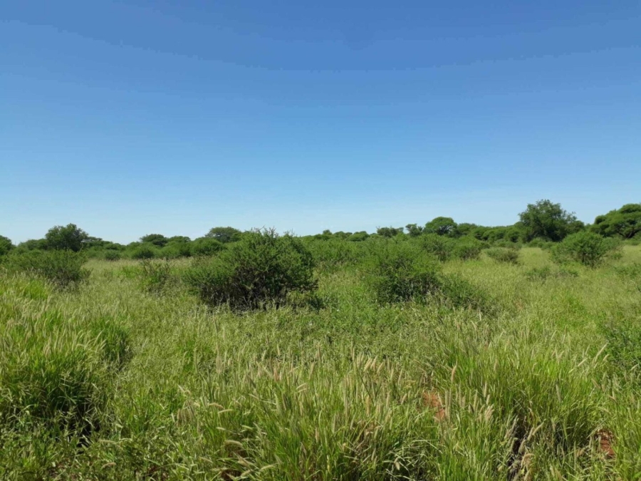 Commercial Property for Sale in Doorhoek AH Limpopo