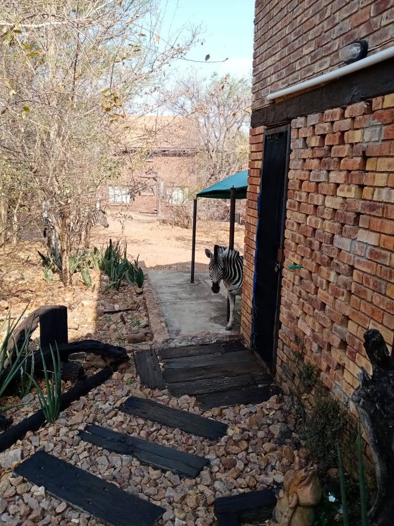 4 Bedroom Property for Sale in Leeupoort Limpopo