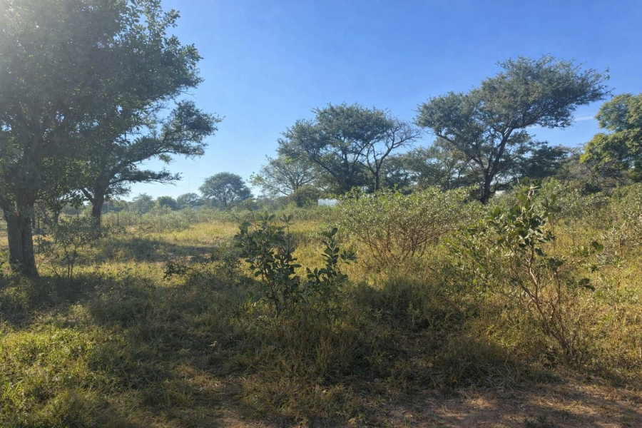 Commercial Property for Sale in Vaalwater Limpopo