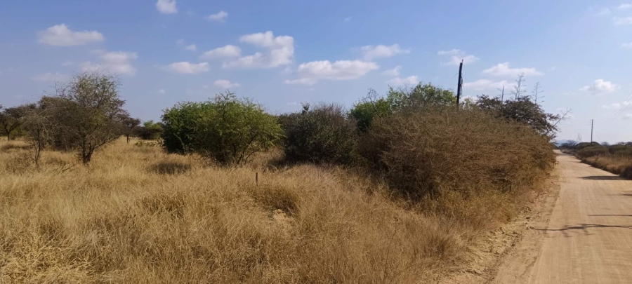 Commercial Property for Sale in Palm A H Limpopo
