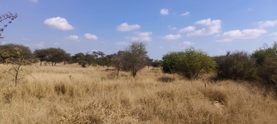 Commercial Property for Sale in Palm A H Limpopo