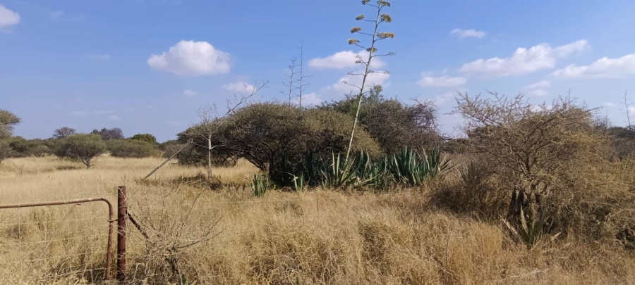 Commercial Property for Sale in Palm A H Limpopo