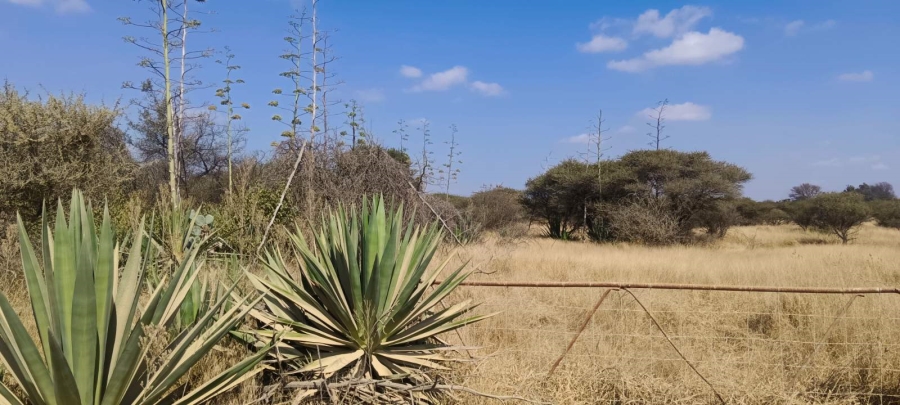 Commercial Property for Sale in Palm A H Limpopo