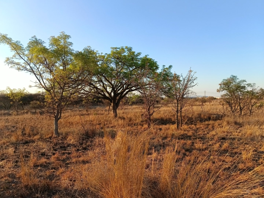 Commercial Property for Sale in Bendor Limpopo