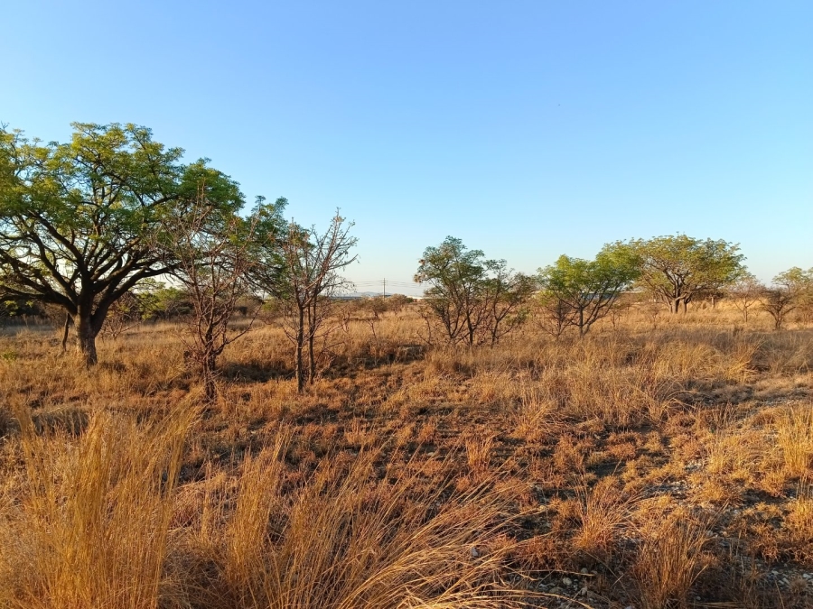 Commercial Property for Sale in Bendor Limpopo
