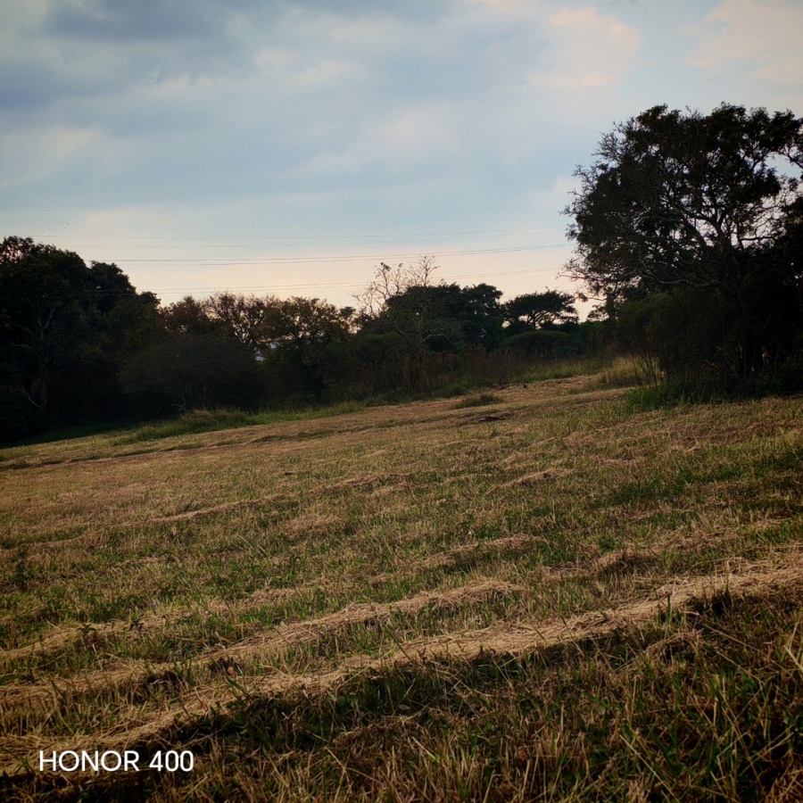 Commercial Property for Sale in Bendor Limpopo