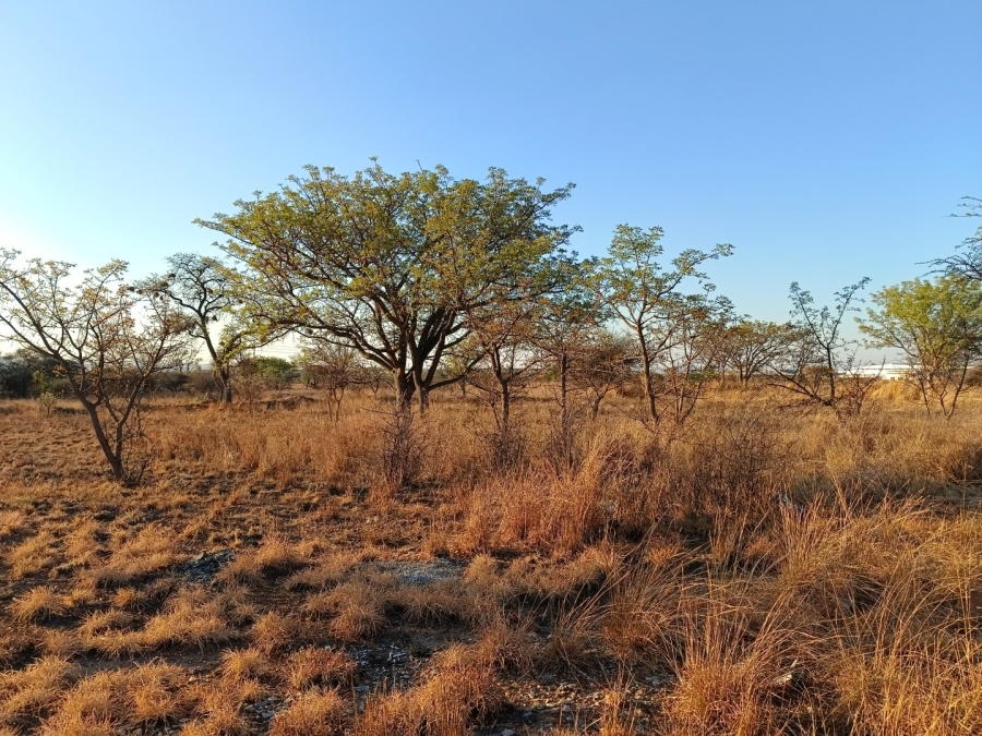 Commercial Property for Sale in Bendor Limpopo