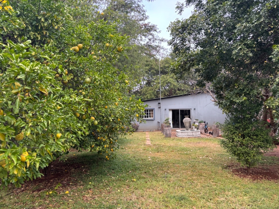 Commercial Property for Sale in Dwaalboom Limpopo