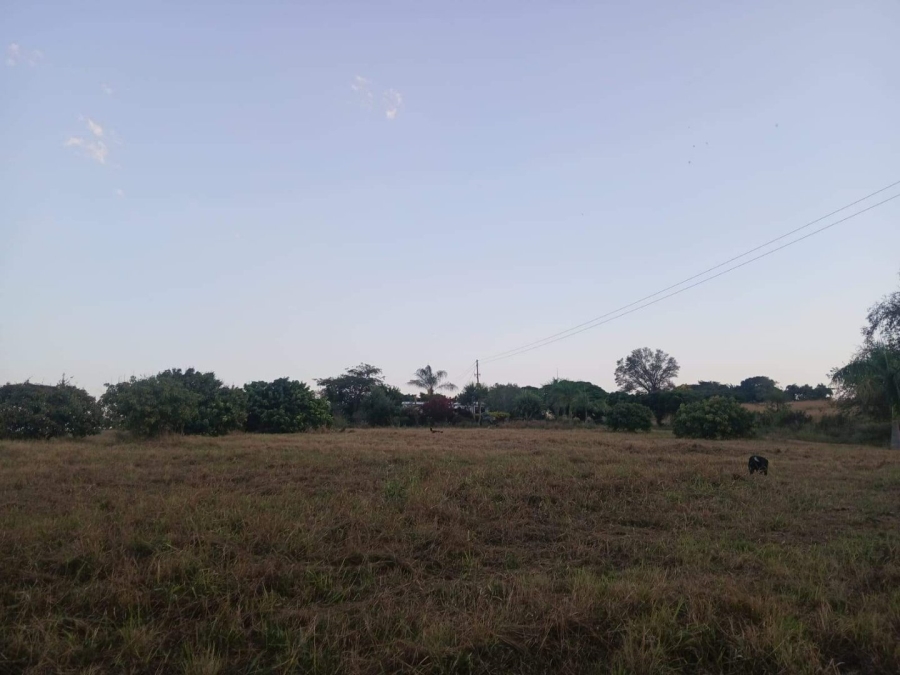Commercial Property for Sale in Tzaneen Rural Limpopo