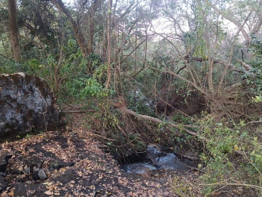 Commercial Property for Sale in Tzaneen Rural Limpopo